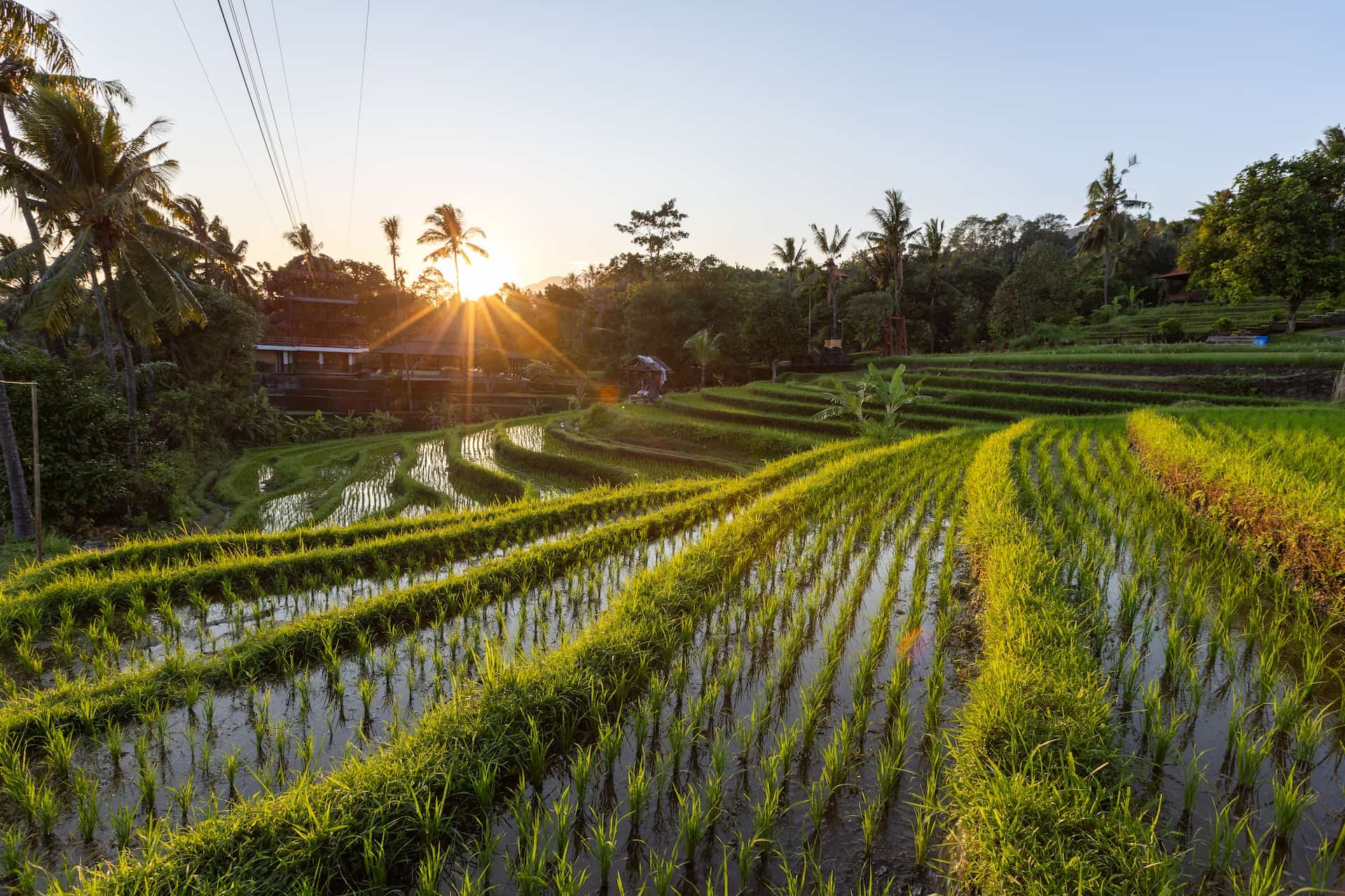 Indonesia