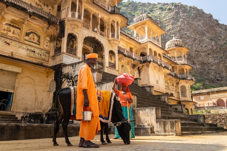 India, Jaipur, Monkey Temple