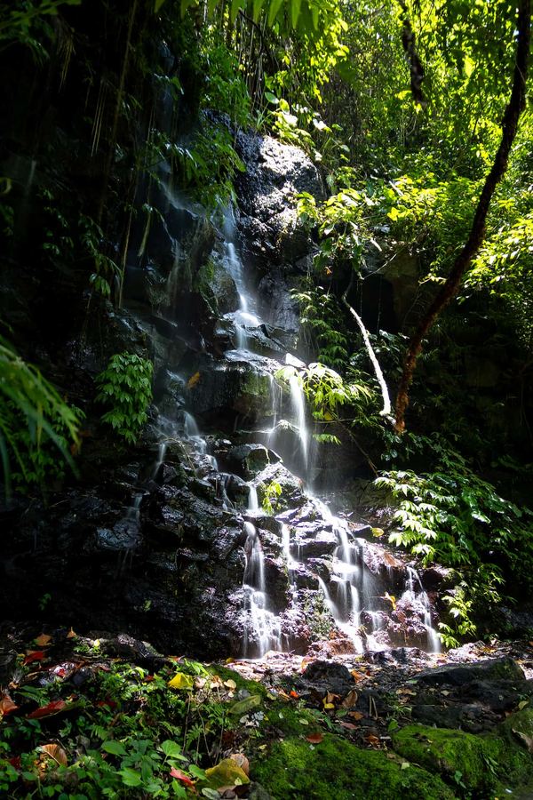 Indonesia, Bali, Waterfall