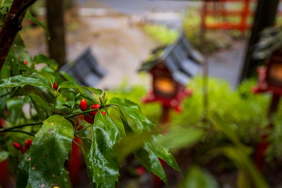 Kansai, Northern Kyoto