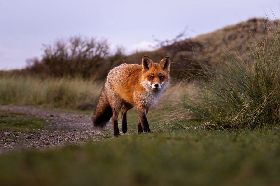Photography by Franca Gielen